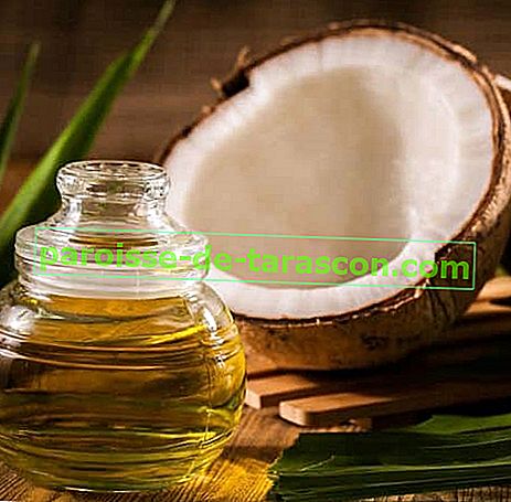 Olio di cocco: proprietà, benefici, usi e tutto ciò che devi sapere su questo superfood 4