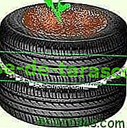 Gojite krompir v pnevmatikah 4