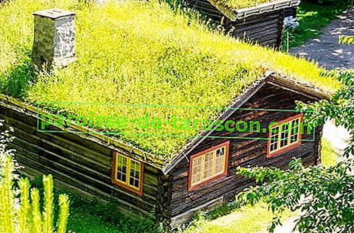 zelená strecha