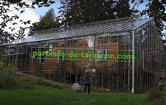 greenhouse_house1