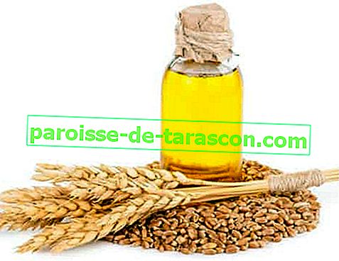 олія зародків пшениці