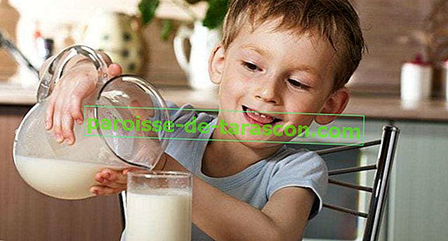 Rastlinné nápoje alebo mlieko: 7 chutných receptov doma 1