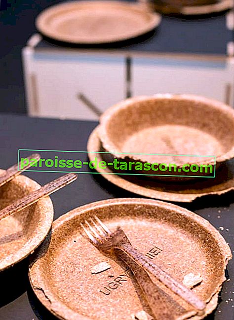 Одноразові тарілки, столові прилади та продукти 3