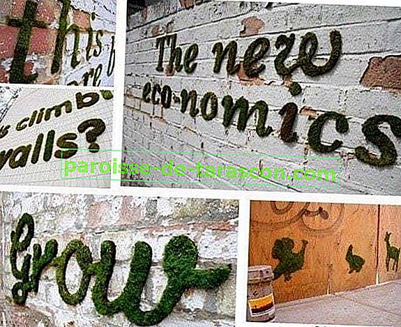 Crea il tuo muschio graffiti 2