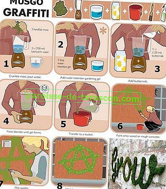 Створіть власні мохові графіті 5
