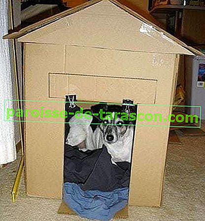 puppy_house_large