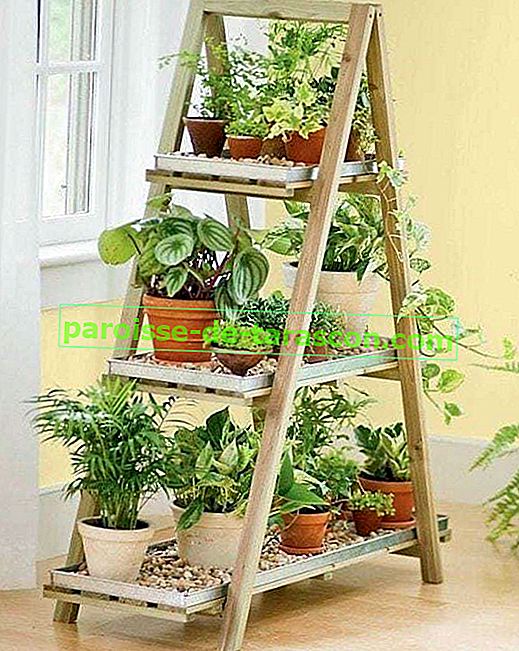 kreatívne-upcycling-nápady-drevený rebrík-shelf-kvetináče-DIY-vertikálne záhrady