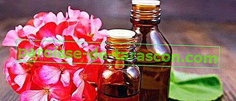 Zastosowania olejku eterycznego z geranium