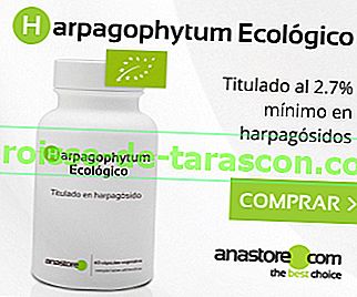 Harpagophytum organic