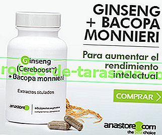 Ginseng (Cereboost ™) + Bacopa monnieri