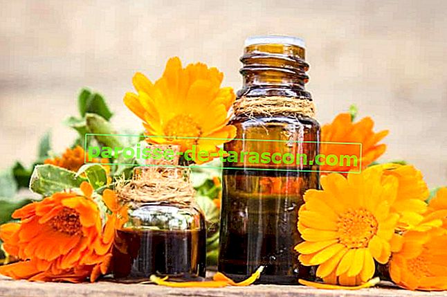 arnica použití esenciálního oleje