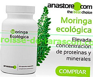 Organické Moringa
