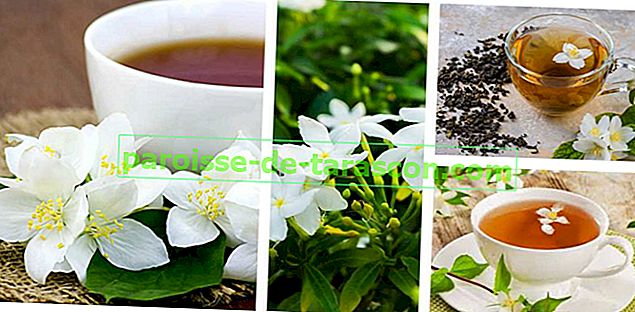 Ceai de iasomie. Proprietățile și beneficiile acestei plante în ceai