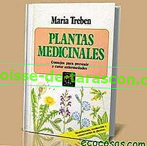 Лекарство с растениями 2