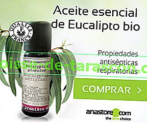 Olio essenziale di eucalipto Bio