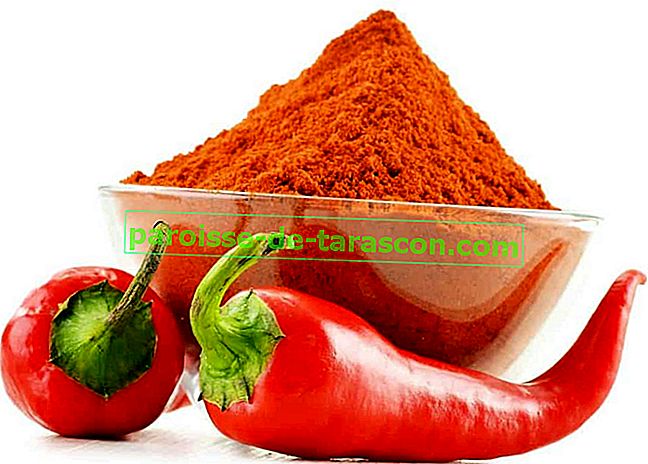 Cayenne pepper, pikantná paprika so zdravými vlastnosťami 1