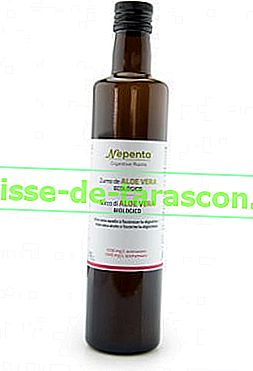 Kako narediti trden naravni šampon Aloe Vera 2