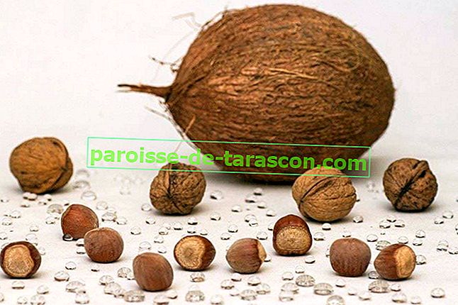 prednosti kokosovega olja