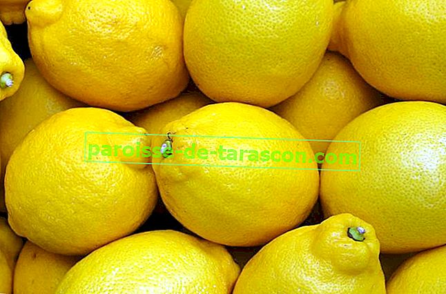 čo robiť s citrónmi