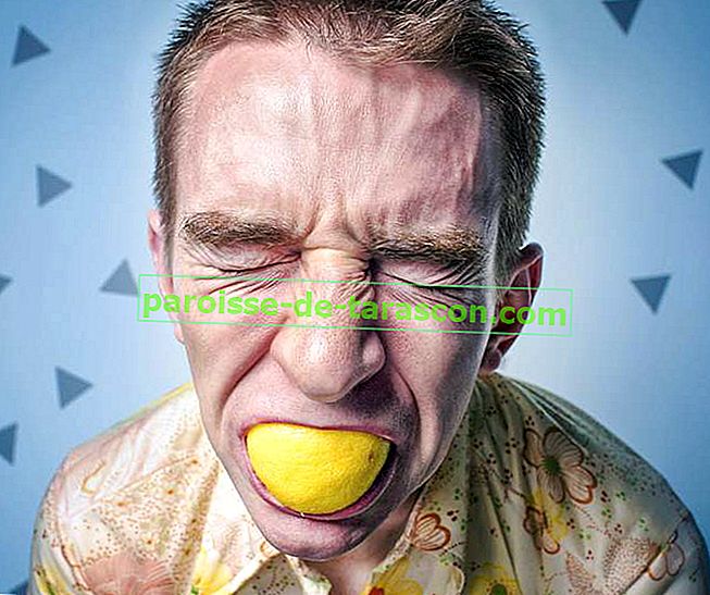 lastnosti limone