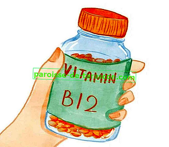 витамин B12, какие продукты содержат его