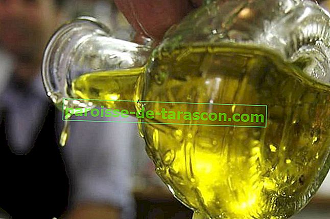Beneficiile uleiului de măsline pentru creierul nostru 1