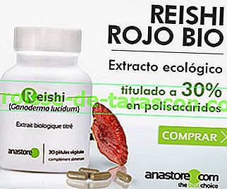 Organické červené Reishi (Ganoderma lucidum)