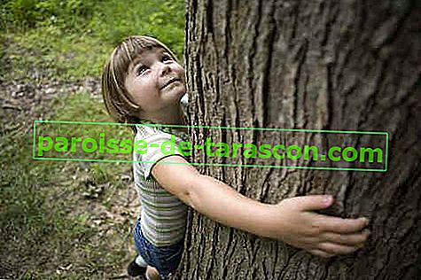 dívka objímala strom